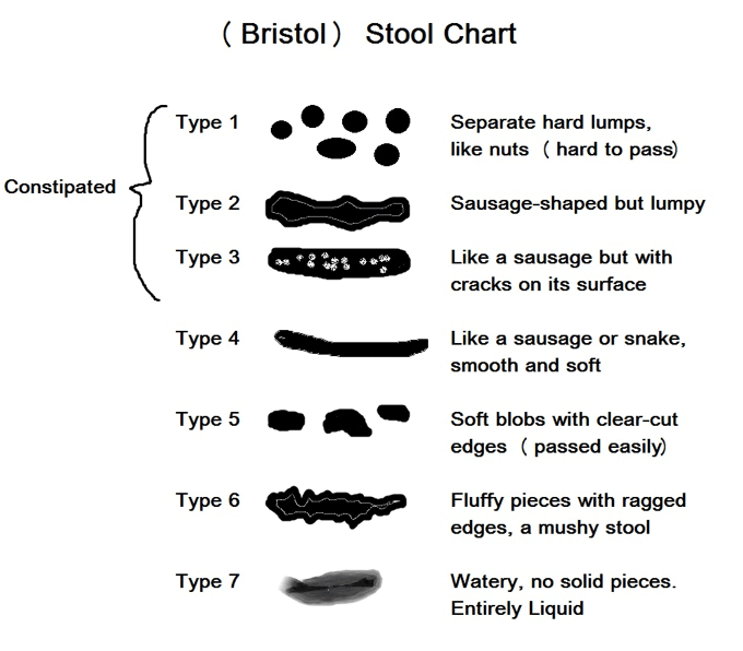 Bristol Stool Chart Black And White